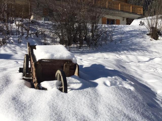 Chalet Nicole La Cote d'Arbroz ภายนอก รูปภาพ